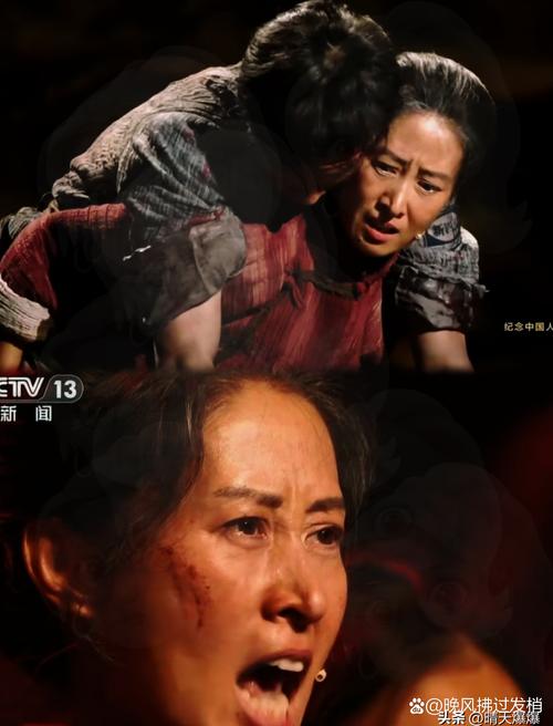 寡妇的心电视剧全集免费观看，解析情感与社会价值