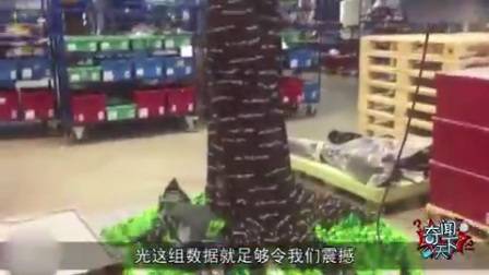 世界最大樱花树落户日本 88万多块乐高积木拼成