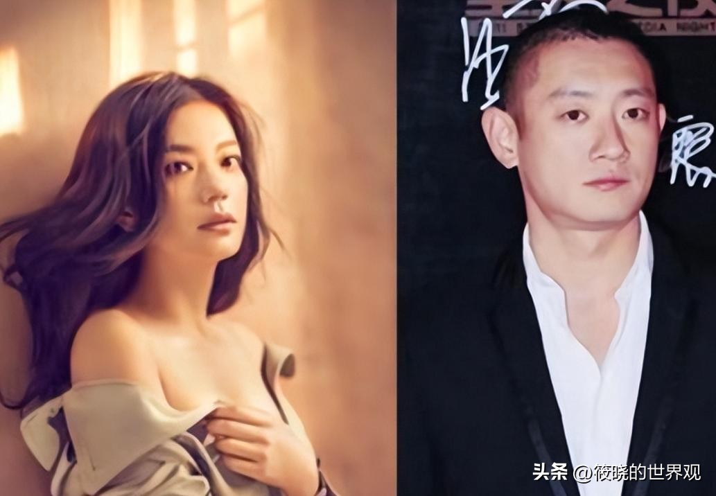 赵薇被封杀原因分析_赵薇现在还在娱乐圈吗_赵薇小燕子近况